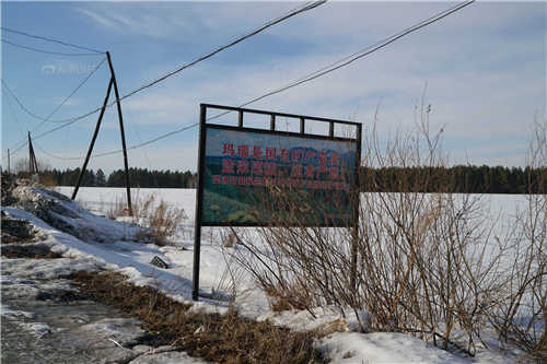 疯狂的玛瑙 疯狂的玛瑙